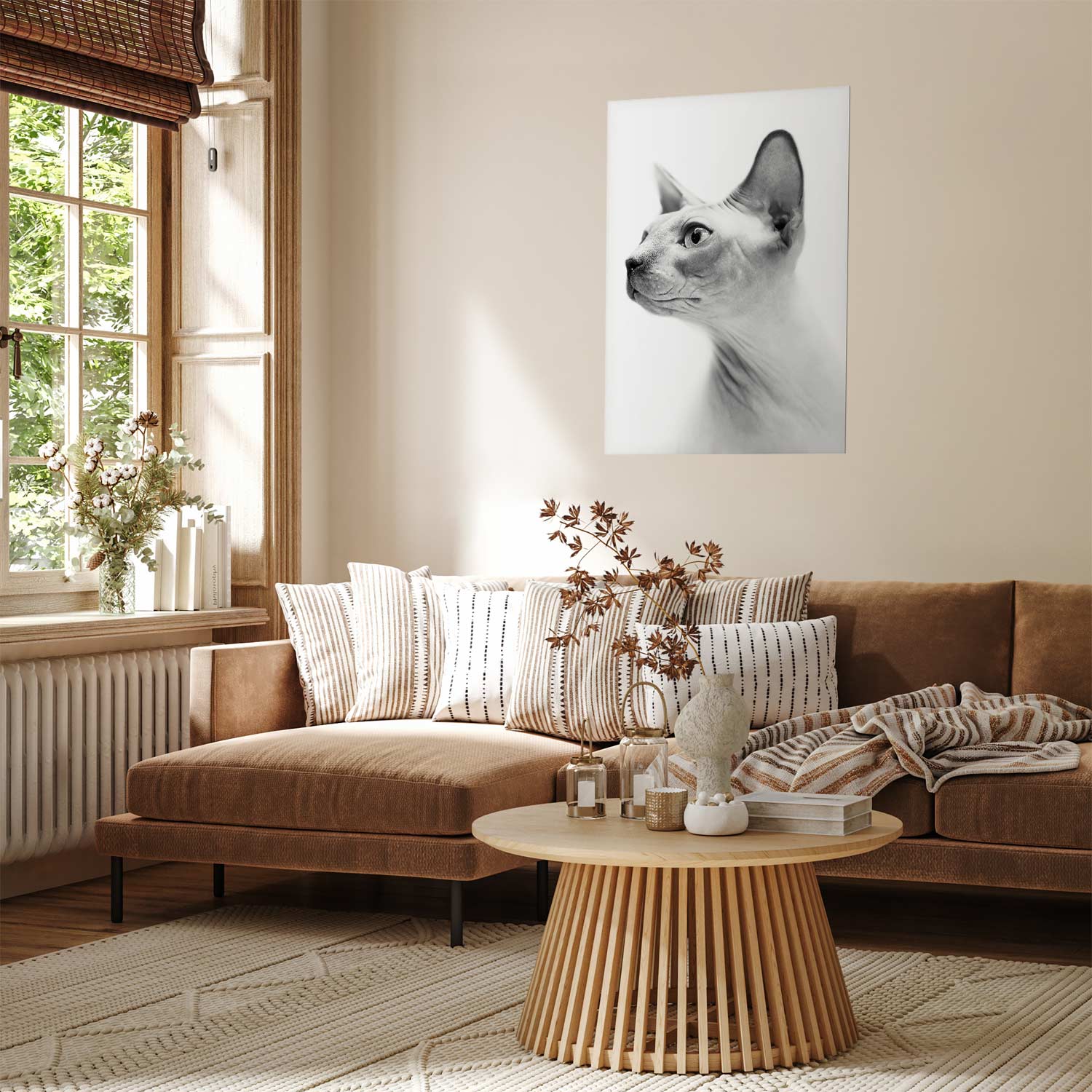 Poster - Hairless Cat - Afbeelding 2